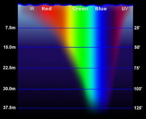 Underwater Photography – Empirical Imaging